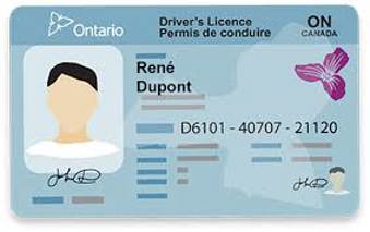 Voter ID Drivers Licence